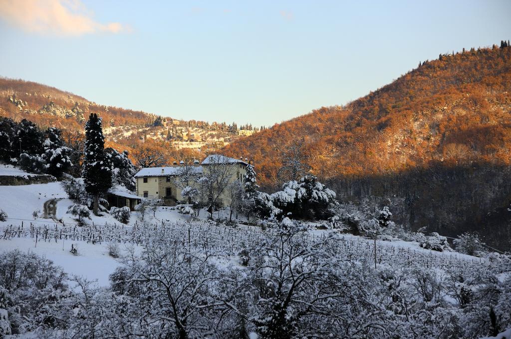 Tenuta Dei Cavalieri Molino del Piano Zewnętrze zdjęcie