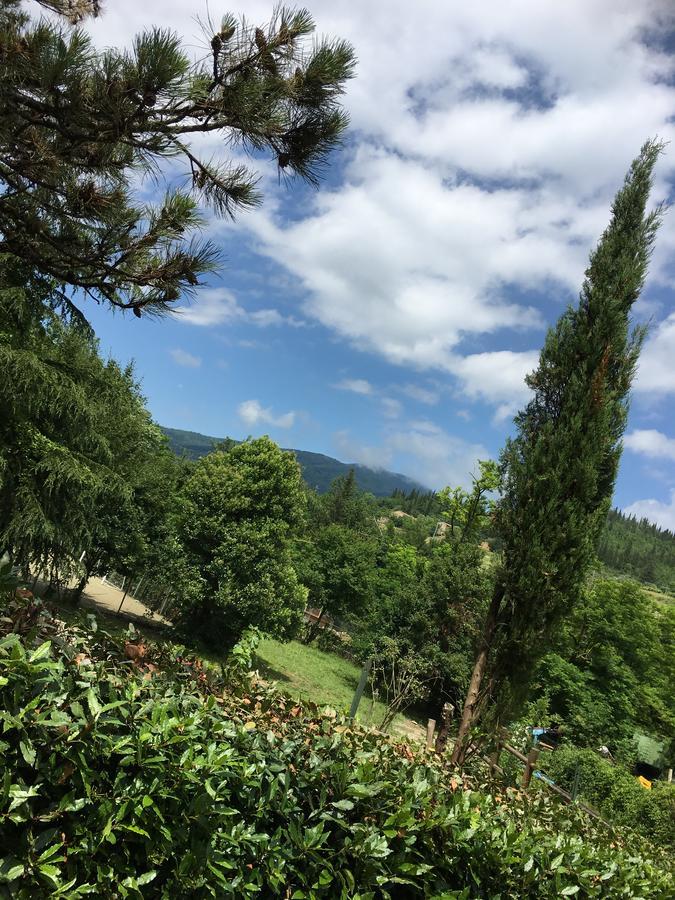Tenuta Dei Cavalieri Molino del Piano Zewnętrze zdjęcie