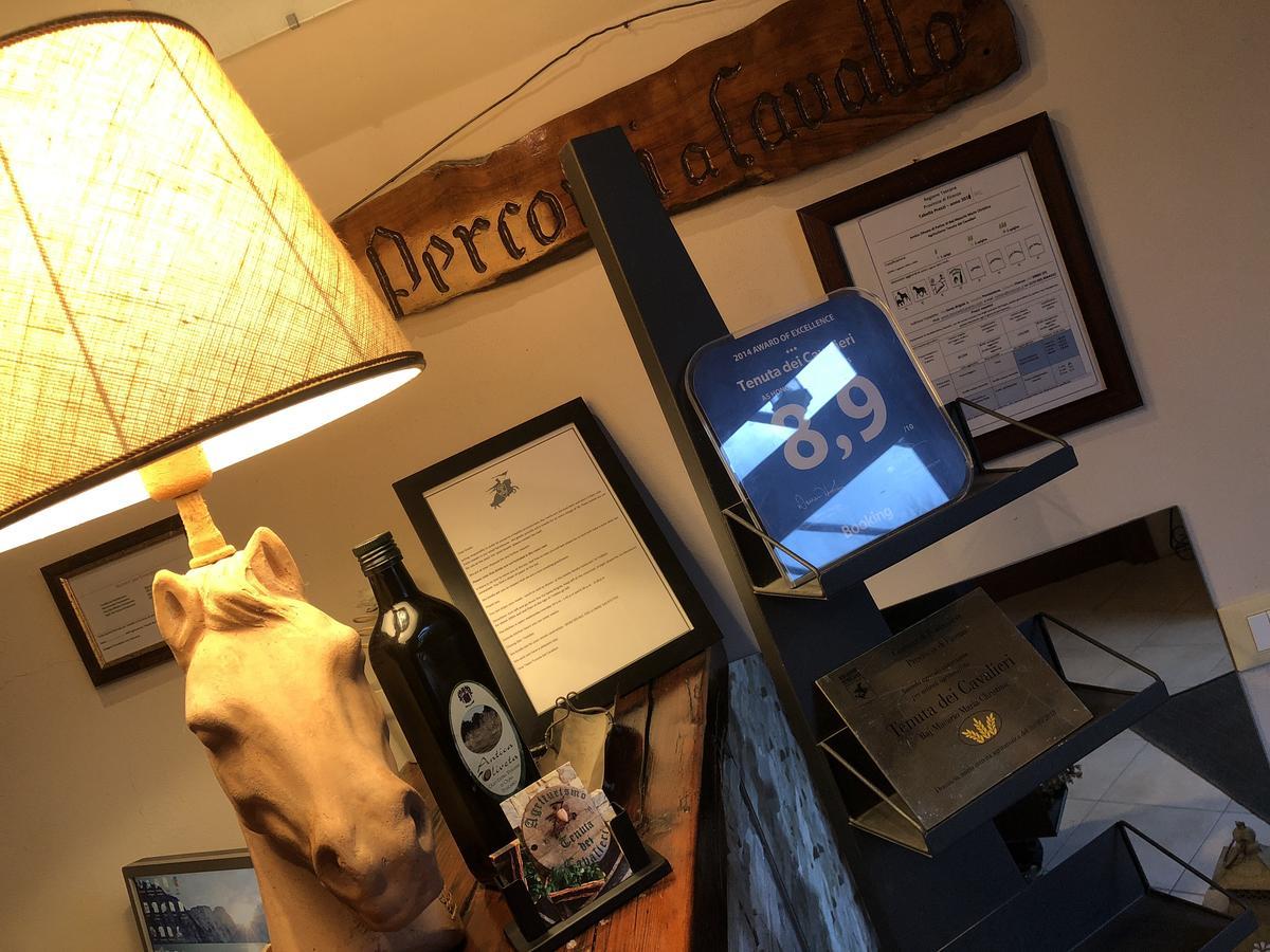 Tenuta Dei Cavalieri Molino del Piano Zewnętrze zdjęcie